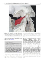 Surgery in and around the Orbit 2023 - Image 10