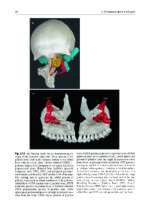 Surgery in and around the Orbit 2023 - Image 3