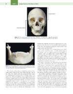 ATLAS of ORAL and MAXILLOFACIAL SURGERY  (SECOND EDITION)  2024   - TWO VOLUME - Image 10