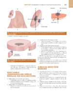 ATLAS OF HEAD AND NECK PATHOLOGY 2024 (FOURTH EDITION) -TWO VOL - Image 5