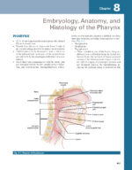 ATLAS OF HEAD AND NECK PATHOLOGY 2024 (FOURTH EDITION) -TWO VOL - Image 7