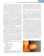 Introduction to Dental Materials (Van Noort) 2024 - Image 3