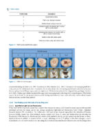 Clinical Applications of Digital Dental Technology 2023 (Second Edition) - Image 2