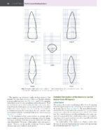 WHEELER’S DENTAL ANATOMY, PHYSIOLOGY, AND OCCLUSION 2020 - Image 7