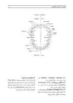 آناتومی و مورفولوژی دندان - Image 9