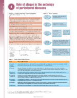 Periodontology at a Glance 2024 - Image 4