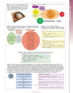 Periodontology at a Glance 2024 - Image 8