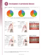 Periodontology at a Glance 2024 - Image 7