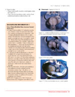 Clinical Cases in Pediatric Dentistry 2020 (2nd Edition) - Image 6