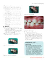 Clinical Cases in Pediatric Dentistry 2020 (2nd Edition) - Image 3