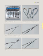 Techniques for Success with Implants in the Esthetic Zone 2019 - Image 10