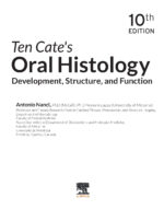 Ten Cate's Oral Histology Development, Structure, and Function 2025 (TENTH EDITION) - Image 7
