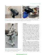 Veterinary Oral Diagnostic Imaging 2024 - Image 7