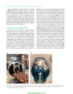 Veterinary Oral Diagnostic Imaging 2024 - Image 9