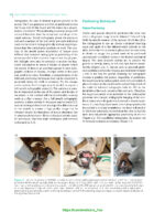Veterinary Oral Diagnostic Imaging 2024 - Image 3