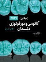 آناتومی و مورفولوژی دندان 2019
