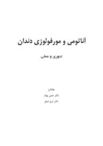 آناتومی و مورفولوژی دندان - Image 3