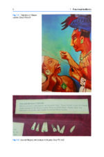 Functional Aesthetic Dentistry: How to Achieve Predictable Aesthetic Results Using Principles of a Stable Occlusion 2020 - Image 4