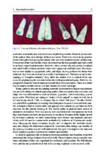 Functional Aesthetic Dentistry: How to Achieve Predictable Aesthetic Results Using Principles of a Stable Occlusion 2020 - Image 5