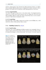 Functional Aesthetic Dentistry: How to Achieve Predictable Aesthetic Results Using Principles of a Stable Occlusion 2020 - Image 7