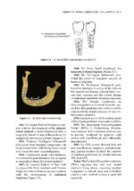 Peri-Implant Therapy for the Dental Hygienist 2022 - Image 2