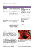 Peri-Implant Therapy for the Dental Hygienist 2022 - Image 8