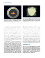 DIY Orthodontics: Design It Yourself 2021 - Image 6
