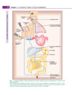 Essentials of Pharmacology for Dentistry 2021 - Image 2