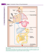 Essentials of Pharmacology for Dentistry 2021 - Image 2