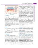 Essentials of Pharmacology for Dentistry 2021 - Image 3