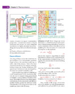Essentials of Pharmacology for Dentistry 2021 - Image 6