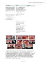 Best Practices in Implant Dentistry 2025 - Image 5