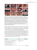 Best Practices in Implant Dentistry 2025 - Image 7