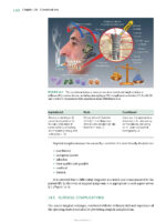 Best Practices in Implant Dentistry 2025 - Image 12