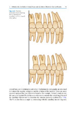 Esthetic Oral Rehabilitation with Veneers: A Guide to Treatment Preparation and Clinical Concepts 2020 - Image 10