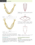 Management of Temporomandibular Disorders and Occlusion Okeson 2020 - Image 9