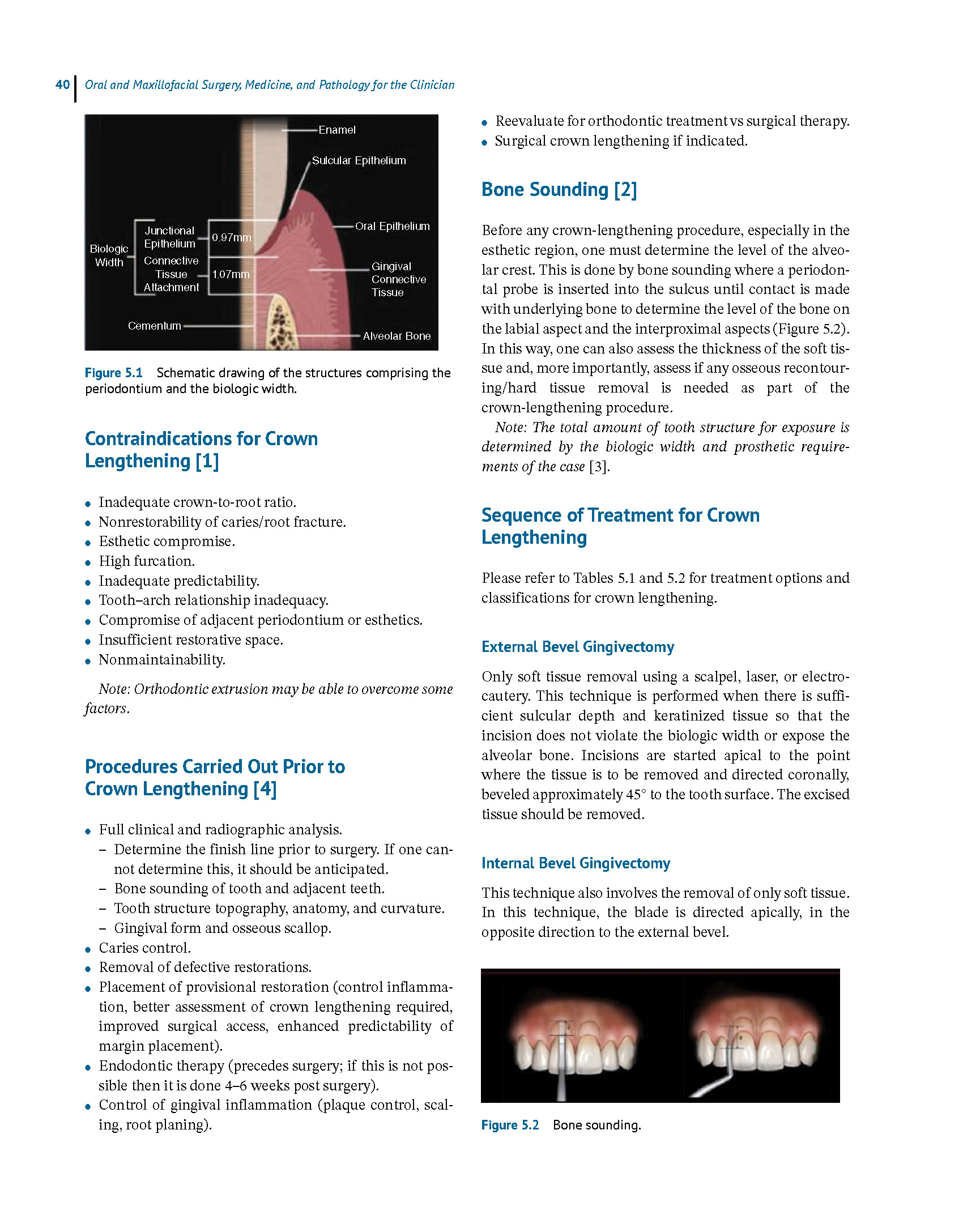 Oral and Maxillofacial Surgery, Medicine, and Pathology for the Clinician 2023 - Image 2