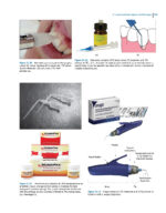 Oral and Maxillofacial Surgery, Medicine, and Pathology for the Clinician 2023 - Image 8