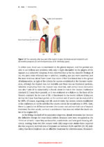 Bone-Grafting Biomaterials: Autografts, Hydroxyapatite, Calcium-Phosphates, and Biocomposites 2024 - Image 3