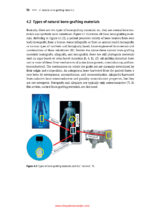 Bone-Grafting Biomaterials: Autografts, Hydroxyapatite, Calcium-Phosphates, and Biocomposites 2024 - Image 5