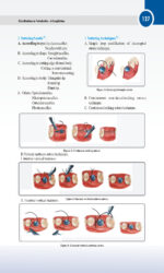 Classifications in Periodontics - A Compilation 2024 - Image 9