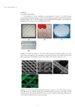 Scaffolds and Implants for Bone 2025 - Image 8