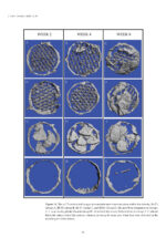 Scaffolds and Implants for Bone 2025 - Image 9