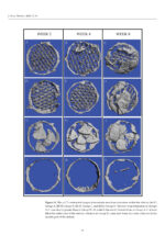 Scaffolds and Implants for Bone 2025 - Image 9