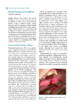 Dental Management of the Pregnant Patient - Image 2