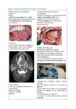 Dental Management of the Pregnant Patient - Image 3
