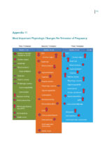 Dental Management of the Pregnant Patient - Image 8