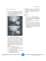 Growth Indicators In Orthodontics 2026 - Image 3