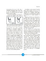 Growth Indicators In Orthodontics 2026 - Image 5