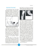Growth Indicators In Orthodontics 2026 - Image 6